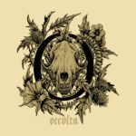 Occvlta