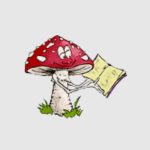 Llibrería Muscaria