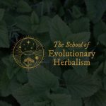 The School of Evolutionary Herbalism