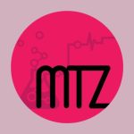 Metzineres