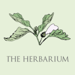 The Herbarium