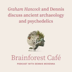 Brainforest Café