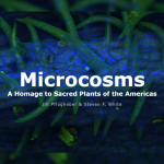 Microcosms