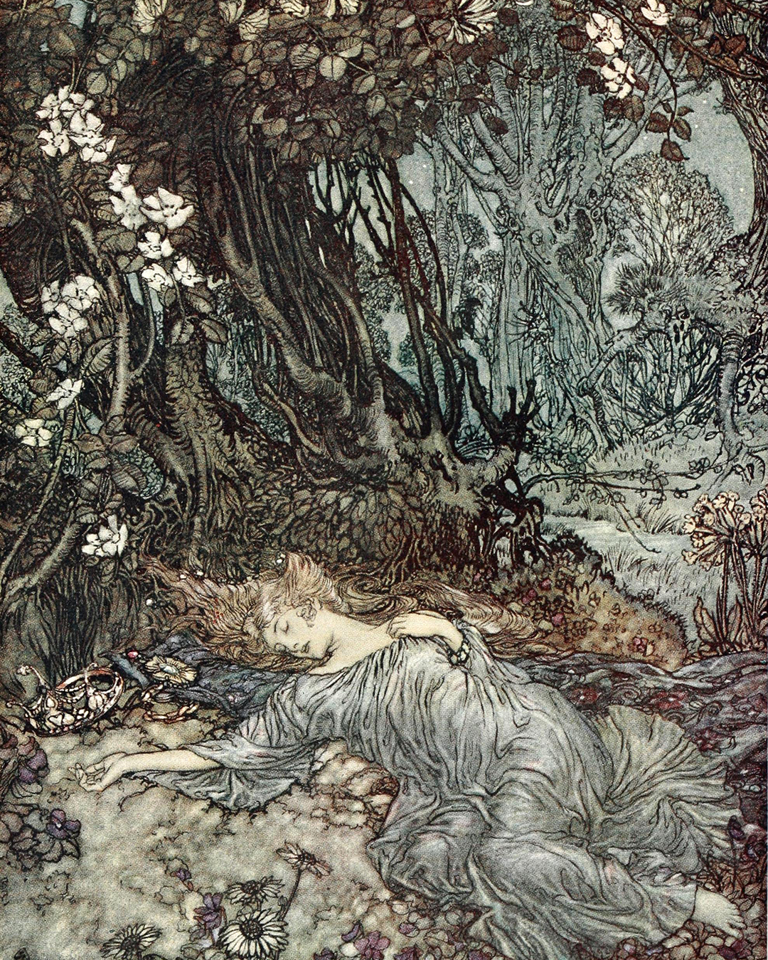 Titania, Queen of the Fairies - Arthur Rackham (1867-1939)