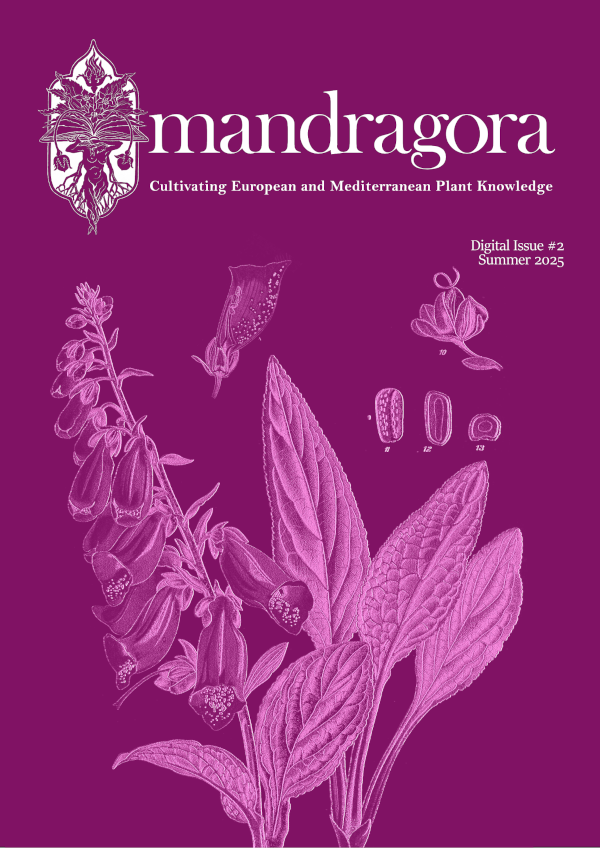 Mandragora Digital Edition #2