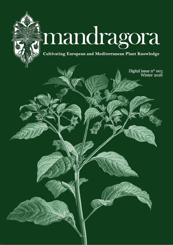 Mandragora Digital Edition 3