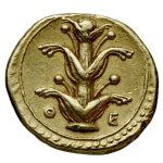 Gold coin from Kyrene featuring a Silphion plant