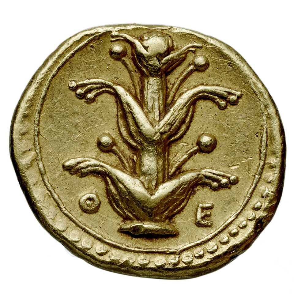 Gold coin from Kyrene featuring a Silphion plant