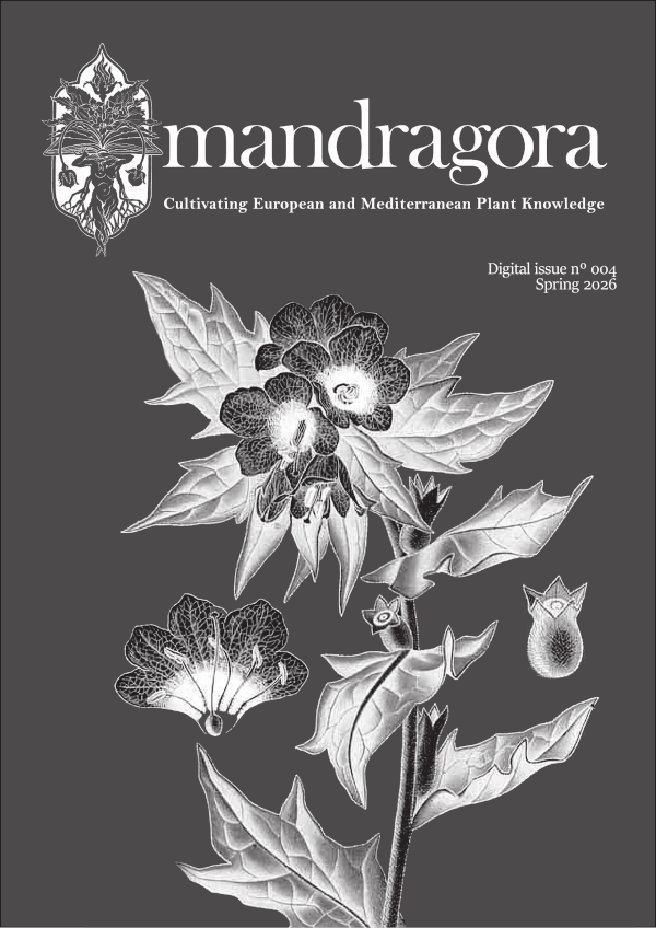 Mandragora Boletin Digital 4